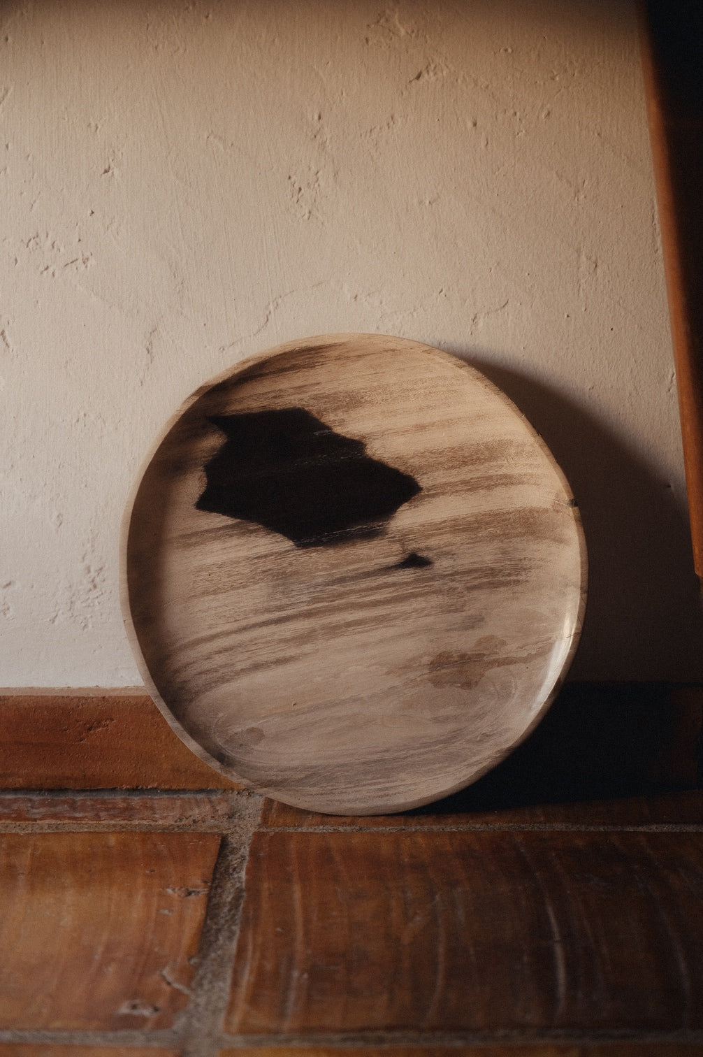 Enric – Petrified Wood - Large - L02