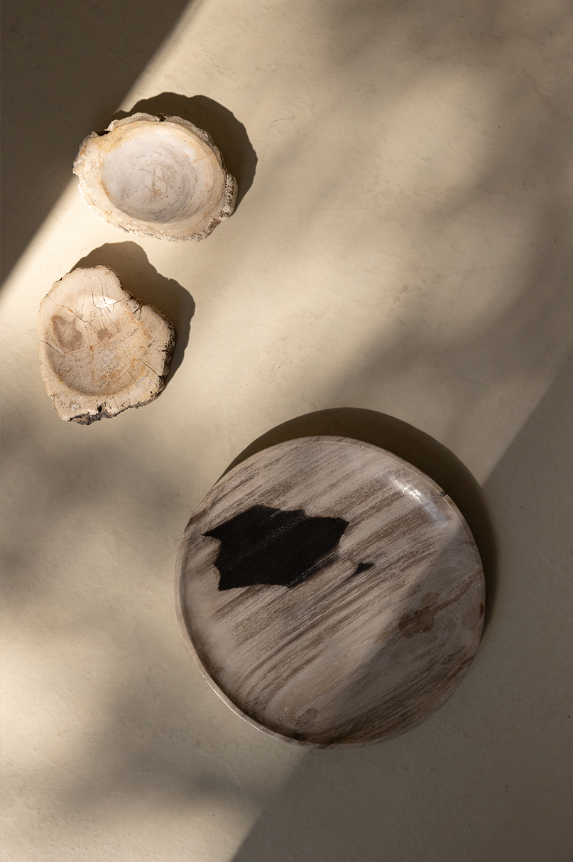 Enric – Petrified Wood - Large - L02