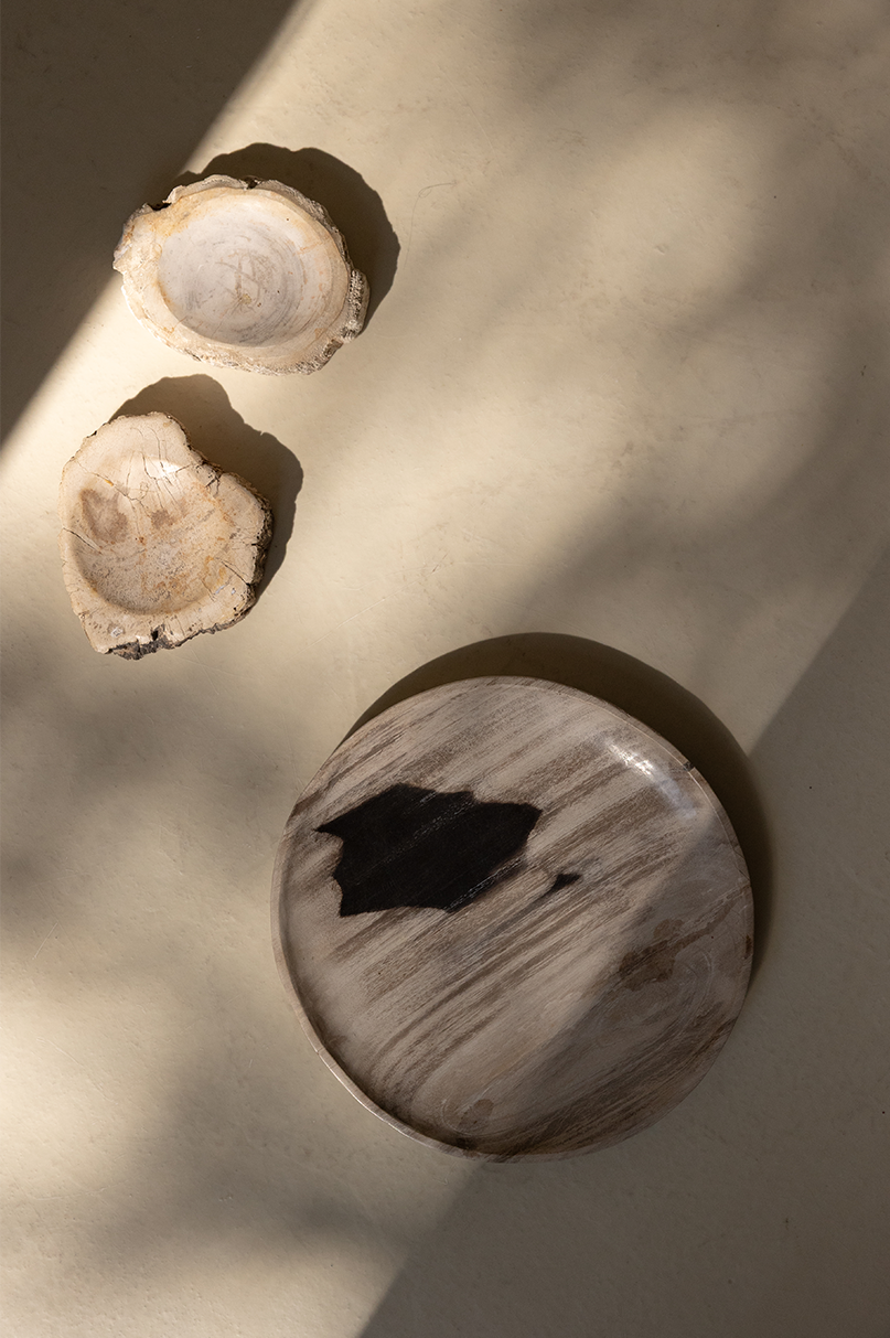 Enric – Petrified Wood - Large - L02