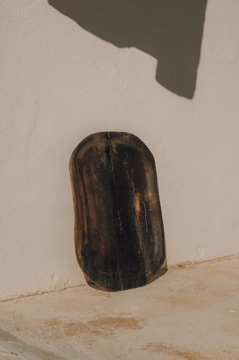 Enric – Petrified Wood - Large - L01