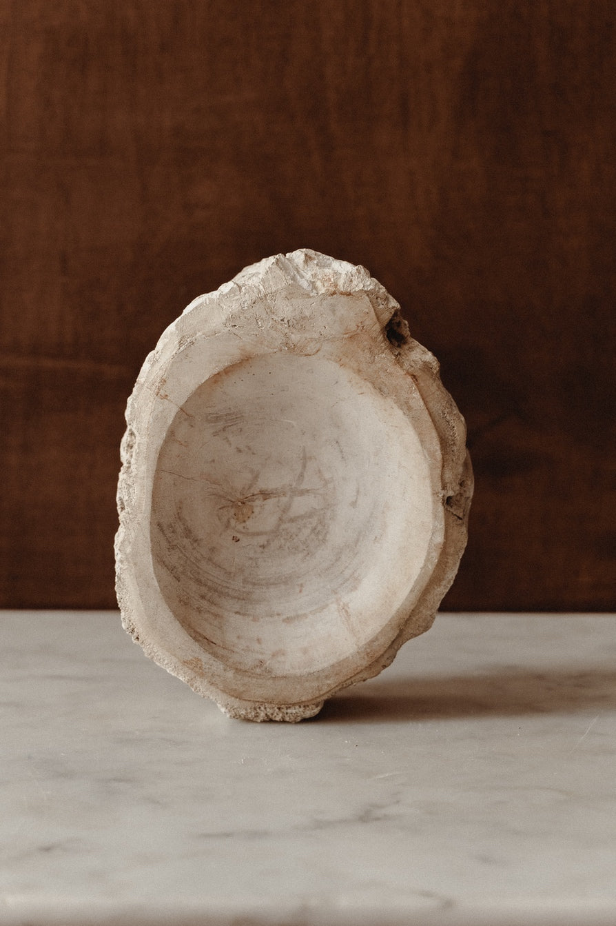 Enric – Petrified Wood - Small - S01