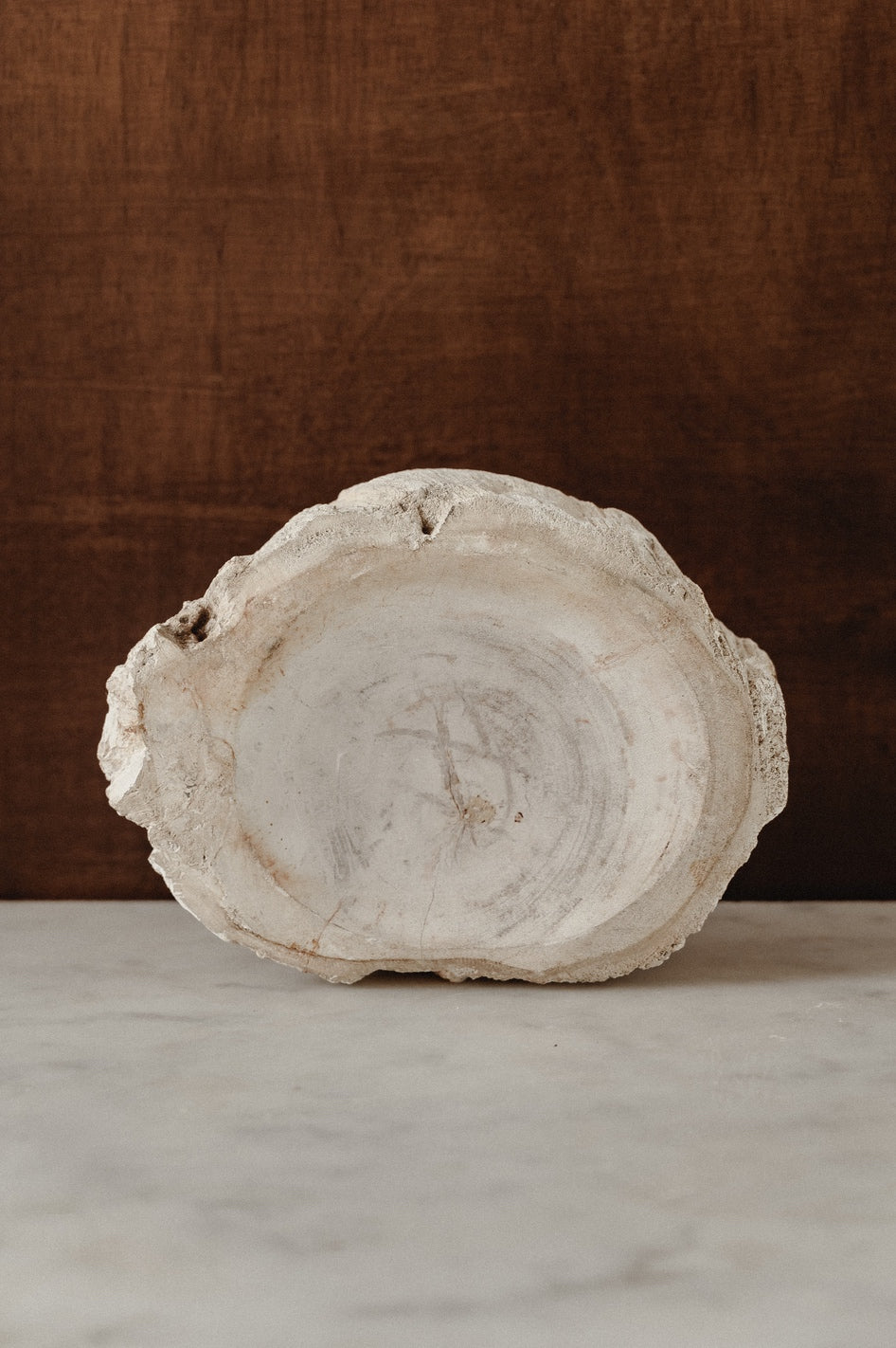 Enric – Petrified Wood - Small - S01