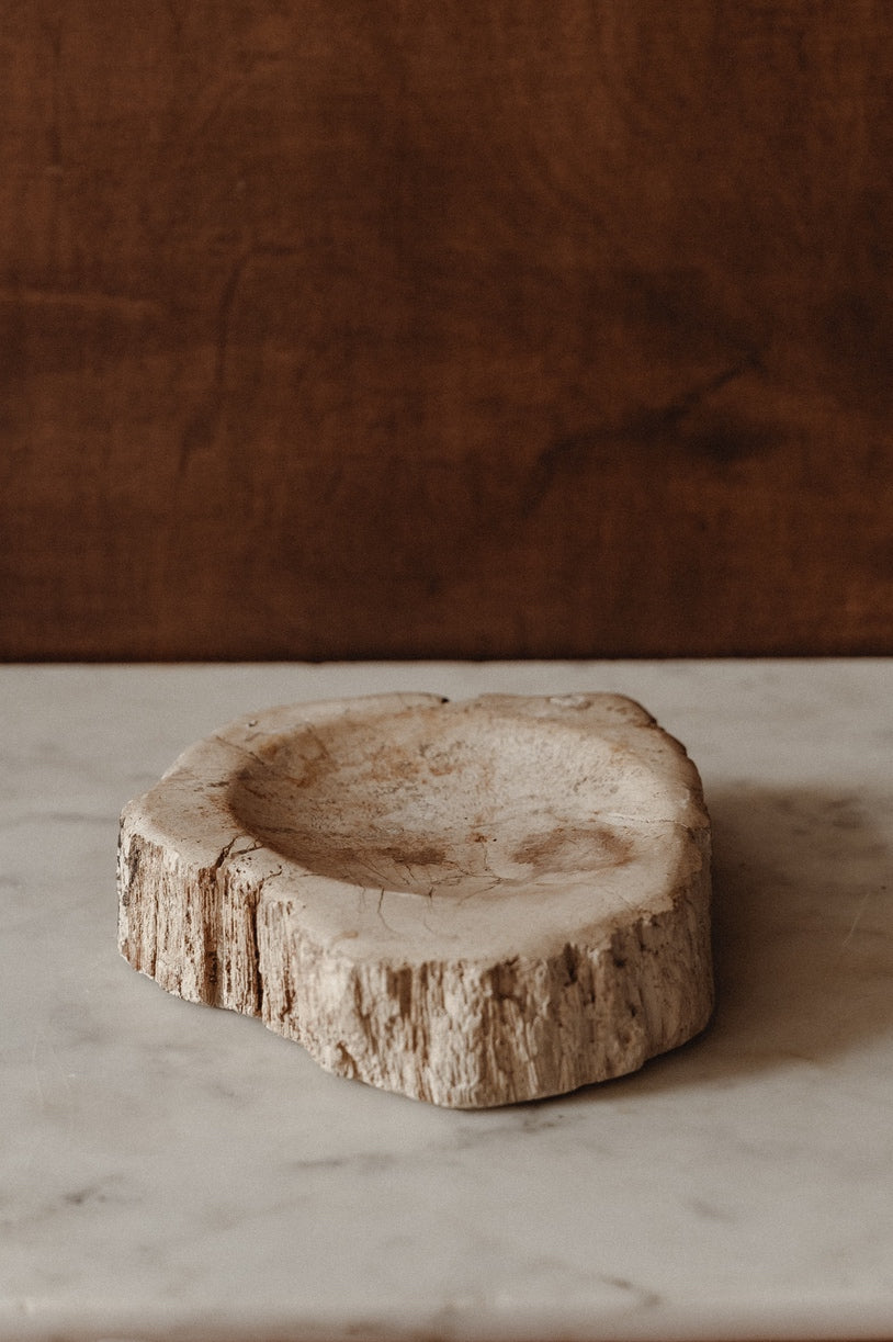 Enric – Petrified Wood - Small - S02