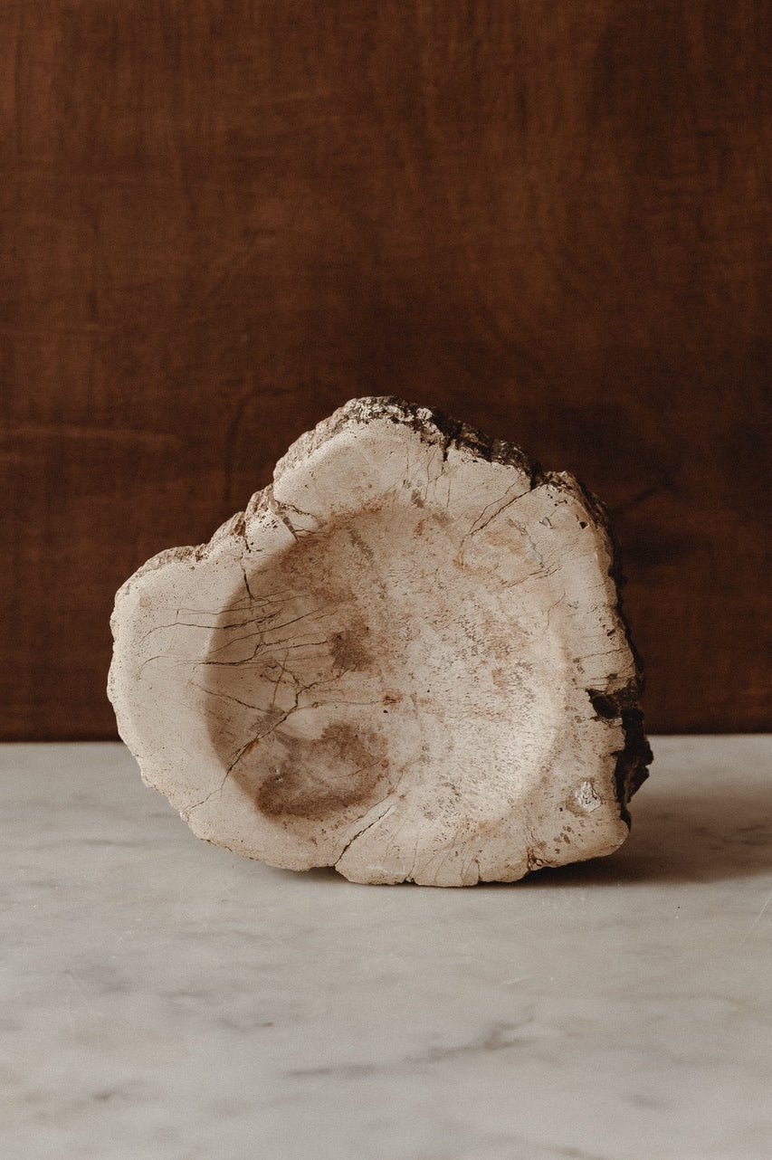 Enric – Petrified Wood - Small - S02