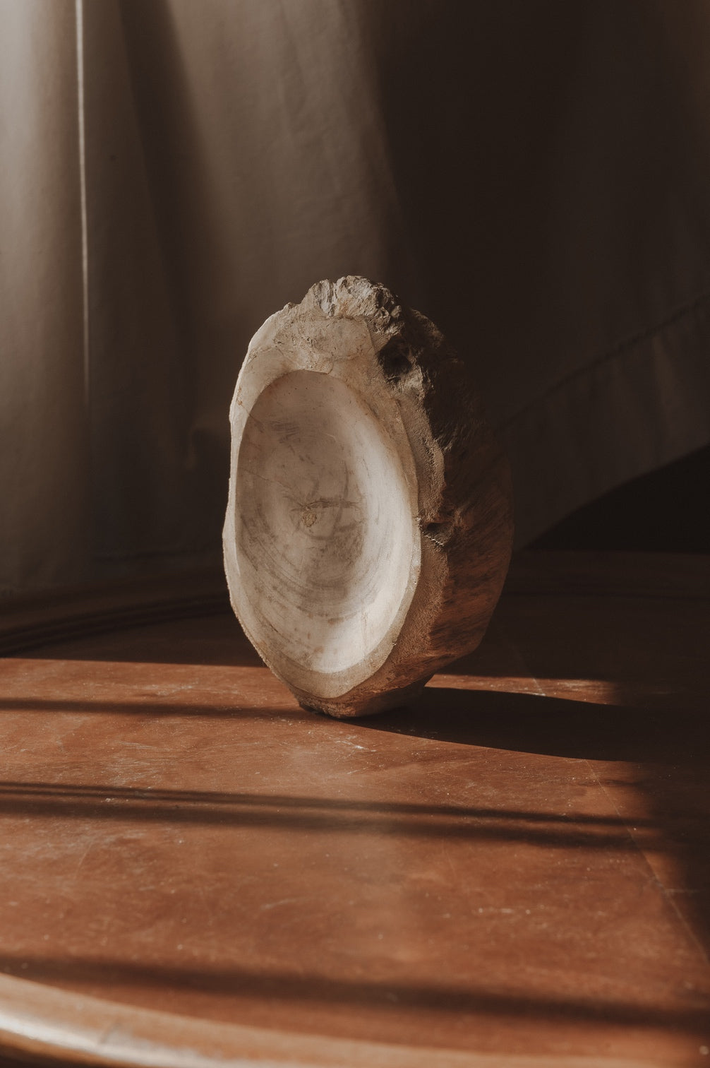 Enric – Petrified Wood - Small - S01