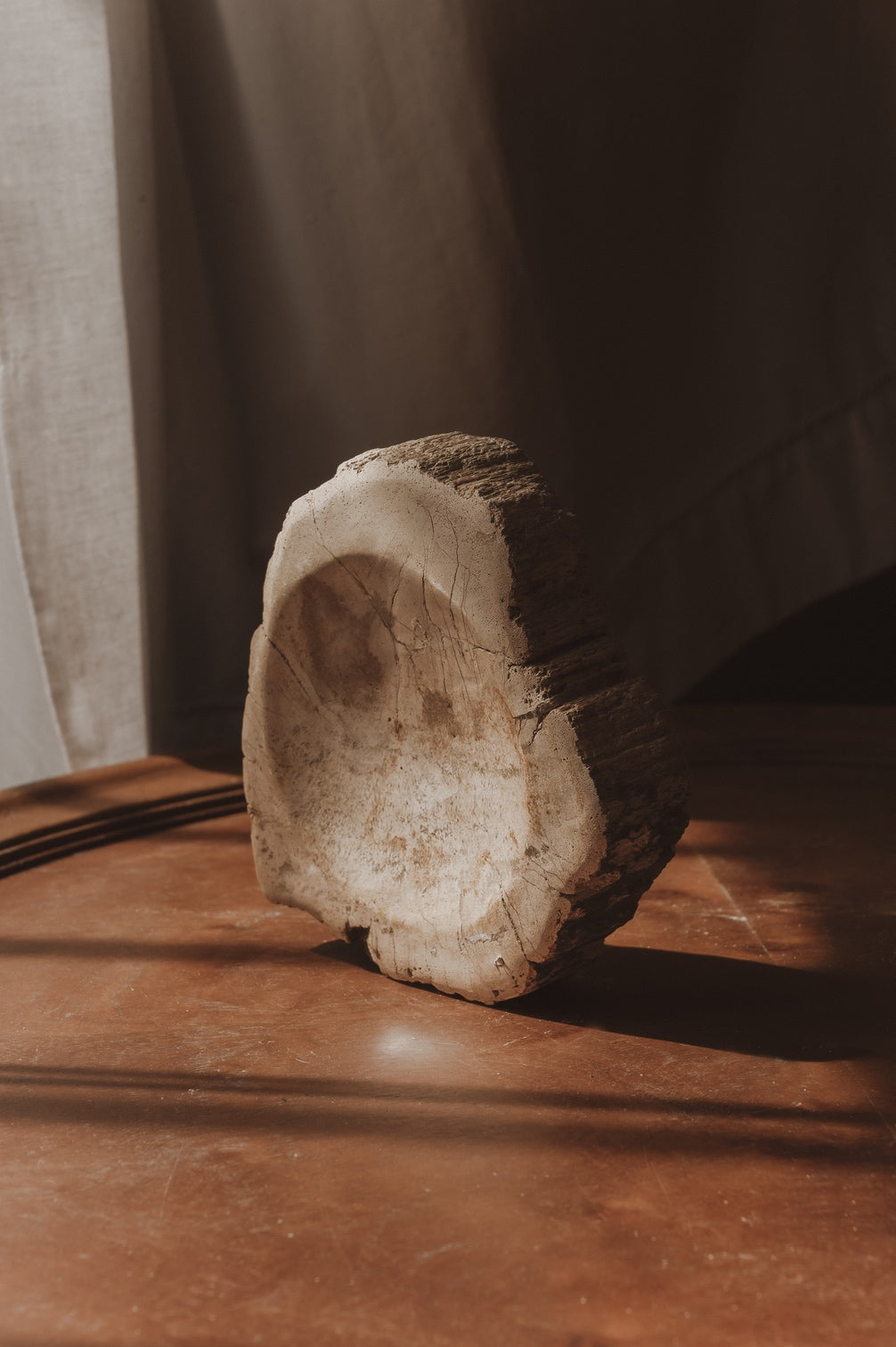 Enric – Petrified Wood - Small - S02